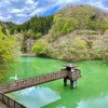 八重桐の池（静岡県小山）