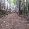 桜の花見と秋葉神社春祭り