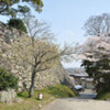 松坂城跡・桑名城跡