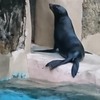 手を繋ぎたかった、動物園