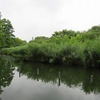 善福寺公園_下の池（東京都杉並区）