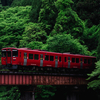 2025/05/05 新緑と赤い気動車