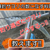 【サヨリレシピ】大量のサヨリを手軽に調理して美味しく食べるお勧め料理を教えます