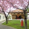 西野神社境内の春の景色（その２）