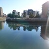 新年のご挨拶＆2/25『小名木川物語』初上映会の詳細です！