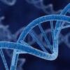 Global DNA Diagnostics Market Trends, Size, Development, Growth and Demand Forecast to 2022 by P&S Market Research