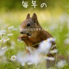 防災グッズもいいんじゃない？という幅の広さ。