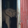 憧れの動物園へ