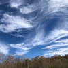 秋の高い空に綺麗な雲が出ていました…　　巻雲と呼ばれるとても高い所に発生する雲です。