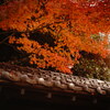 【スナップ】高円寺【α7C, 7artisans 50mm F1.1】