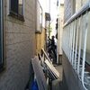 春かな？