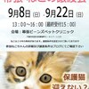 身辺雑記