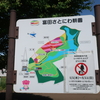 え！芝さくらが・・・