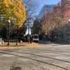 2019/11/7 庭園