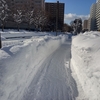 3日間こもっていたら　雪がすごい事に・・・😰