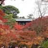 東福寺 in Kyoto