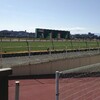 東京競馬場 パート2 (作者取材のため 競馬場に 行ってきました！)