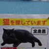 宇宙船みたいな猫のキャリーバッグに猫入れないで普段使いしてる奴なんなの？猫いるかな？って覗いてしまったじゃん！な私の一週間日記（1/20〜26）