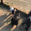 めちゃくちゃ充実した日曜日