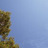 【小1】スイミング習い始めました
