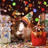 読者数が100人突破！！ついに素性を暴露？