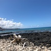 カイルア・コナ12   コナ・ブリューイング  2020ハワイ島旅行記