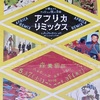 「アフリカリミックス」。2006.5.27~8.31。森美術館。