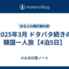 2025年3月 ドタバタ続きの韓国一人旅【4泊5日】