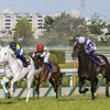 競馬予想　2021年　オークス　JRA