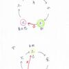 四柱推命での結婚と恋愛の星（正と偏）