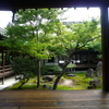 京都　2013.7　建仁寺