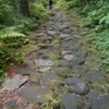 ♪箱根の山は天下の険♪は本当だった！