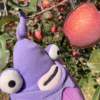 【悲報】今年はりんご、不作のようです