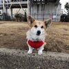 1000人超えた！