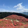 葛城山のつつじは有名です。