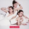 Tacata' (SINGLE+DVD) (EXERCISE盤) [Single, CD+DVD] MAX | 