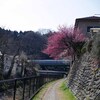 二日間連続登山で初日は高尾山から神奈川県側へ行き、翌日は急峻な二か所の高ドッケ南尾根と矢倉沢下山