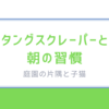 タングスクレーパーと朝の習慣。使い心地と私に起こった小さな変化