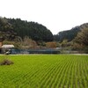 なごみ農園「収穫祭」