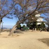 丸亀城/お城の基本情報やイベント、周辺施設の紹介/日本100名城（香川県丸亀市）