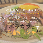 グルメ 飲食店のごはん カテゴリーの記事一覧 ゆるいろぐ