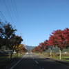 丹波紅葉三山　高源寺の紅葉