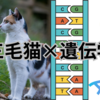 「三毛猫×科学」　④三毛猫について考える