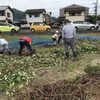 農業体験報告　　〜今年の収穫は(;_;)〜