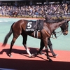 2024.３.10 マルクパージュさん 中京９Ｒ岡崎特別 芝1400mに荻野騎手で出走しました