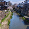 日本一遅い乗り物で桜・近江八幡