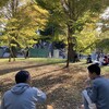 Ueno Park lunch in November