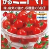 ミニキャロルとは？｜育てやすくたくさん収穫できるミニトマト【サカタのタネ】