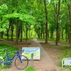 都立狭山公園へ