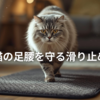 高齢猫用滑り止めマット比較｜足腰にやさしいおすすめと選び方